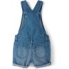 The Children’S Place Girls Denim Shortall Overalls(Rose Wash)