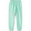The Children’s Place Baby Girls’ Winter Warm Active Pants(Wintermint)