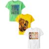 The Children’s Place Boys Short Sleeve Graphic T-Shirt 3-Pack(Hustlin/Lion/Positive Vibes)