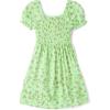 The Children’s Place girls Floral Smocked Babydoll Dress(Green Floral)