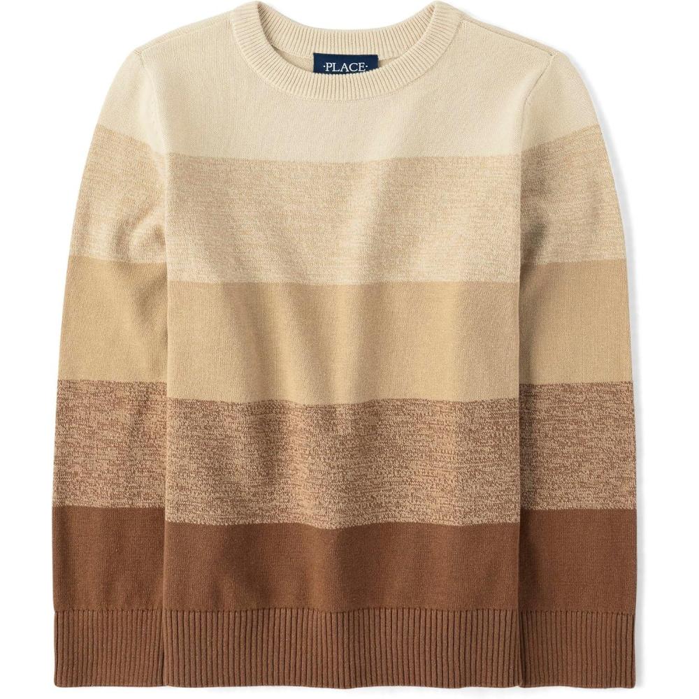 imageThe Childrens Place Boys Long Sleeve Crew Neck Pullover SweaterCinnamon Stripe Crew Neck