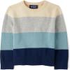 The Children’s Place Baby-Boys and Toddler Long Sleeve Crew Neck Pullover Sweater(Tidal Block Stripe)