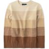 The Children’s Place Boys Long Sleeve Crew Neck Pullover Sweater(Cinnamon Stripe Crew Neck)