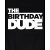 The Children’s Place Boys All Holidays,Birthdays Short Sleeve Graphic T-Shirts,2 Pack(Birthday Dude/Dino)