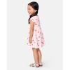 The Children’s Place Girls and Toddler Short Sleeve Fashion Dress(Strawberry Gingham)