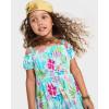 The Children’s Place,Baby-Girls,and Toddler Sleeveless Dressy Dresses,Tropical Cosmos,4 Years