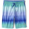 The Children’s Place Boys Performance Basketball Shorts(Blue Ombre)