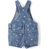 The Children’s Place baby-girls And Toddler Girls Denim Shortalls(Denim Confetti Hearts)