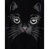The Children’s Place Girls All Holidays,Birthdays Short Sleeve Graphic T-Shirts,3 Pack(Cat/Witch Cat/Spooky Icons)