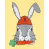 The Children’s Place Baby-Girls and Toddler Basic Long Sleeve Layering Tees(Bunny Carrot)