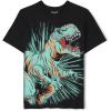 The Children’s Place Baby-Girls and Toddler Basic Long Sleeve Layering Tees(Dino Rawr)