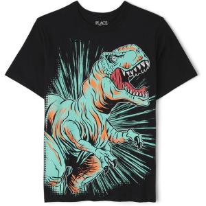 The Children’s Place Baby-Girls and Toddler Basic Long Sleeve Layering Tees(Dino Rawr)
