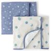 The Children’s Place Unisex-Baby and Newborn Swaddle Blankets(Icicle 2-pack)