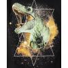 The Children’s Place Boys Animals,Cars Short Sleeve Graphic T-Shirts,3 Pack(Triceratop/Dino Galaxy 2-pack)