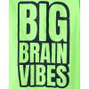 The Children’s Place Boys School,Learning Short Sleeve Graphic T-Shirts,3 Pack(Rizz/Genius/Big Brain)