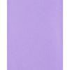 The Children’s Place Girls The Children’s Place Baby and Toddler Girls High Low Basic Layering Tee(Lacrosse Violet)