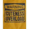 The Children’s Place,Baby Boys,and Toddler Assorted Everyday Long Sleeve Graphic T-Shirts(Warning Cuteness/Handsome Trouble)