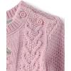 The Children’s Place baby-girls And Newborn Long Sleeve Sweater and Pants, 2 Piece Playwear Set(Luxe Lilac)