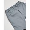 Stretch Chino Shorts(Fin Gray)