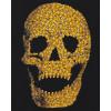 The Children’s Place Boys All Holidays Short Sleeve Graphic T-Shirtst-Shirt(Halloween Candy Skull)