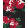 The Children’s Place Big Girls’ Fashion Leggings, Heather Grey 47827 (Pack of 2), Large/10/12(Black Roses/ Rose Parade/Plaid 3-pack)