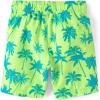 The Children’s Place Boys’ Long Sleeve Rashguard and Swim Trunks, 2 Piece Set(Lime Zest)