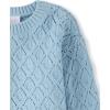 The Children’s Place Girls’ Long Sleeve Crew Neck Pullover Sweater(Chalk Blue Crochet)