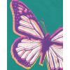 The Children’s Place Girls’ Unicorns,Butterfly Short Sleeve Graphic T-Shirts,3 Pack(Butterfly/Butterfly Hearts/Rainbows)