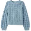 The Children’s Place Girls’ Long Sleeve Crew Neck Pullover Sweater(Blue Aura)