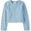 The Children’s Place Girls’ Long Sleeve Crew Neck Pullover Sweater(Chalk Blue Crochet)