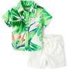 The Children’s Place Baby Boys’ And Newborn Short Sleeve Button Down Shirt and Shorts 2 Piece Outfit Set(Palm Tree)