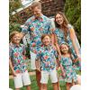 The Children’s Place Baby Boys’ and Toddler Poplin Short Sleeve Button Down Shirt(Mellow Aqua Tropical)