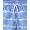 The Children’s Place Baby Boys’ and Toddler Short Sleeve Rashguard and Bottoms(Bright Sky)