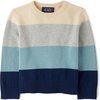 The Children’s Place Baby Boys’ and Toddler Long Sleeve Crew Neck Pullover Sweater(Tidal Block Stripe)