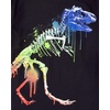 The Children’s Place Boys’ Short Sleeve Graphic T- Shirt 3-Pack(Ombre Dino/No Cap/Capybara)