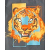 The Children’s Place Boys Vehicle Short Sleeve Graphic T-Shirts,multipacks(Tiger/Life Gamer/Genius)