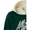 The Children’s Place Boys’ Long Sleeve Varsity Hooded Top(Balt Green Allstar)
