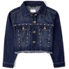The Children’s Place Girls’ Long Sleeve Denim Jean Jacket(Thea Wash)