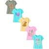 Bow/Heart/Candy Bear/Food/Capybara