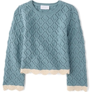 The Children’s Place Girls’ Long Sleeve Crew Neck Pullover Sweater(Stormwater 2)