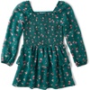 The Children’s Place Girls’ and Toddler Long Sleeve Chiffon Dresses(Jaded Teal Floral)
