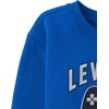 The Children’s Place Boys’ Long Sleeve Crew Neck Pullover Sweatshirt(Level Up)
