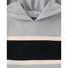 The Children’s Place,Boys,Active Long Sleeve Hooded Sweatshirt,Weathered Steel,Medium