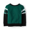 The Children’s Place Baby Boys’ And Toddler Sweatshirt and Sweatpant 2 Piece Outfit(Green Black Camo)