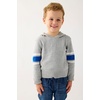 The Children’s Place Boys’ And Toddler Hoodie Sweatshirt(Smoke Stripe)