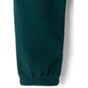 The Children’s Place Boys’ And Toddler Sweatshirt and Sweatpant 2 Piece Outfit(Balt Green)