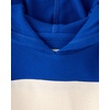 The Children’s Place Boys’ and Toddler Shirt with Hood(Hay Stack Colorblock)