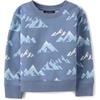 The Children’s Place Baby Boys’ And Toddler Pullover Crew Neck Sweatshirt(Sapphire Mountains)