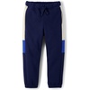 The Children’s Place Boys’ Active Fleece Jogger Sweatpants(Tidal Colorblock)